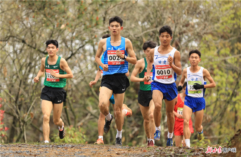 热血时刻：田径选手再战赛场，驰骋瞬间